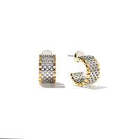 Two Tone Watch Hoops