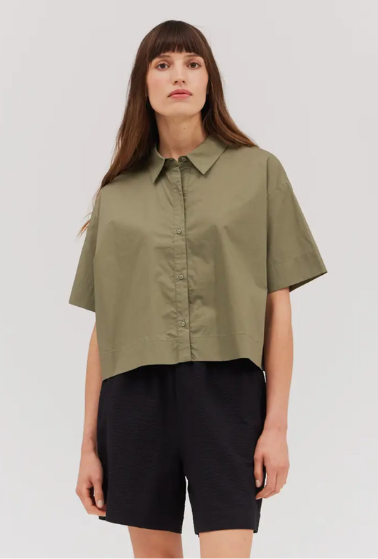 Olive button up