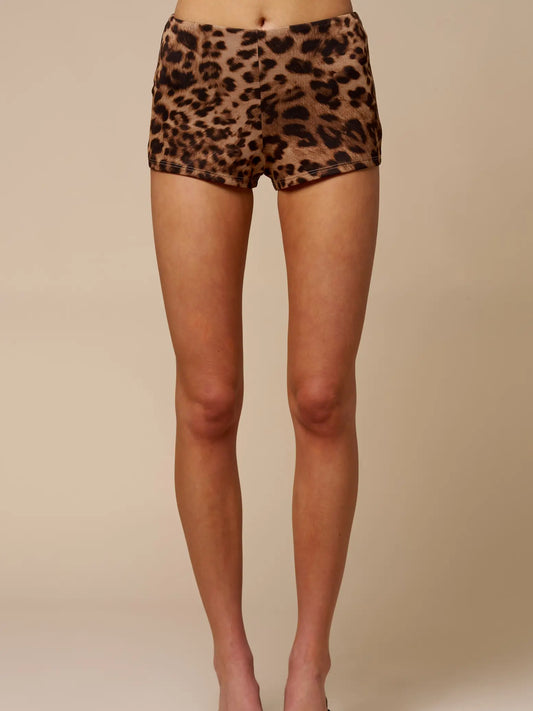 Leopard Mini