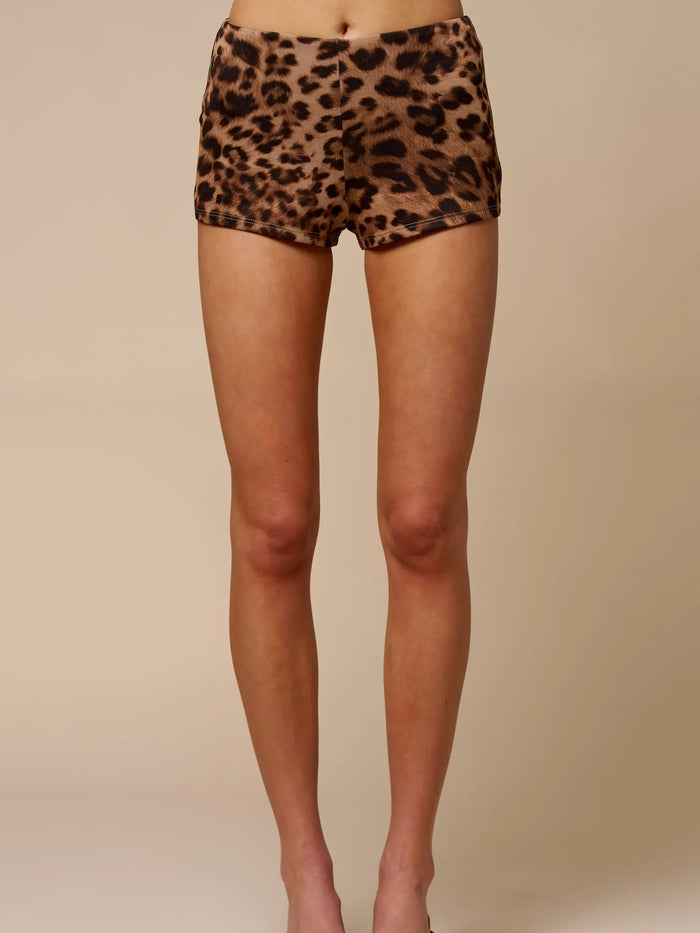 Leopard Mini