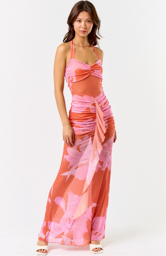 Hibiscus Maxi