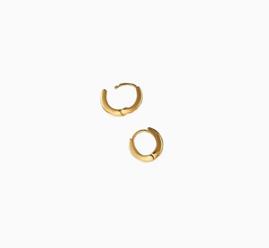 Zenith Hoops Small