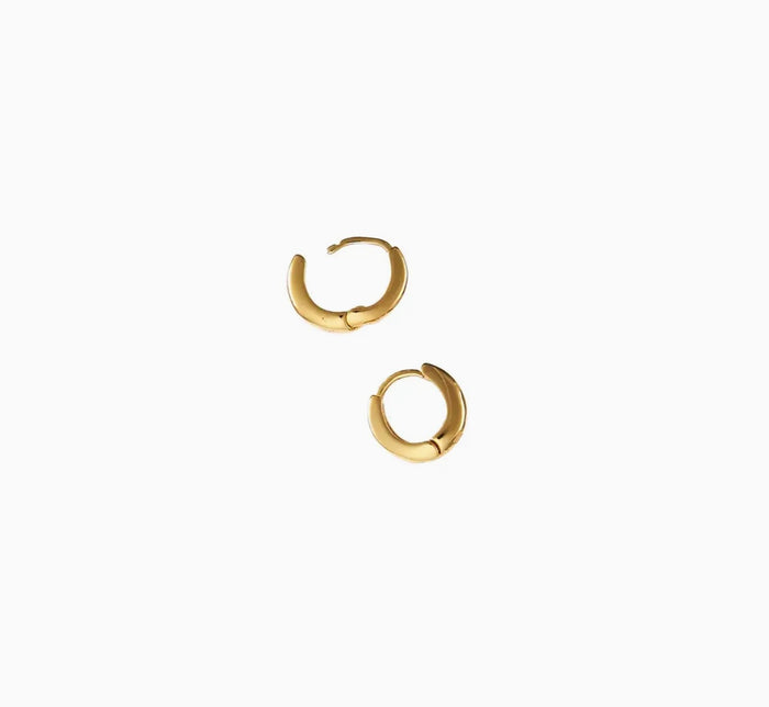 Zenith Hoops Small