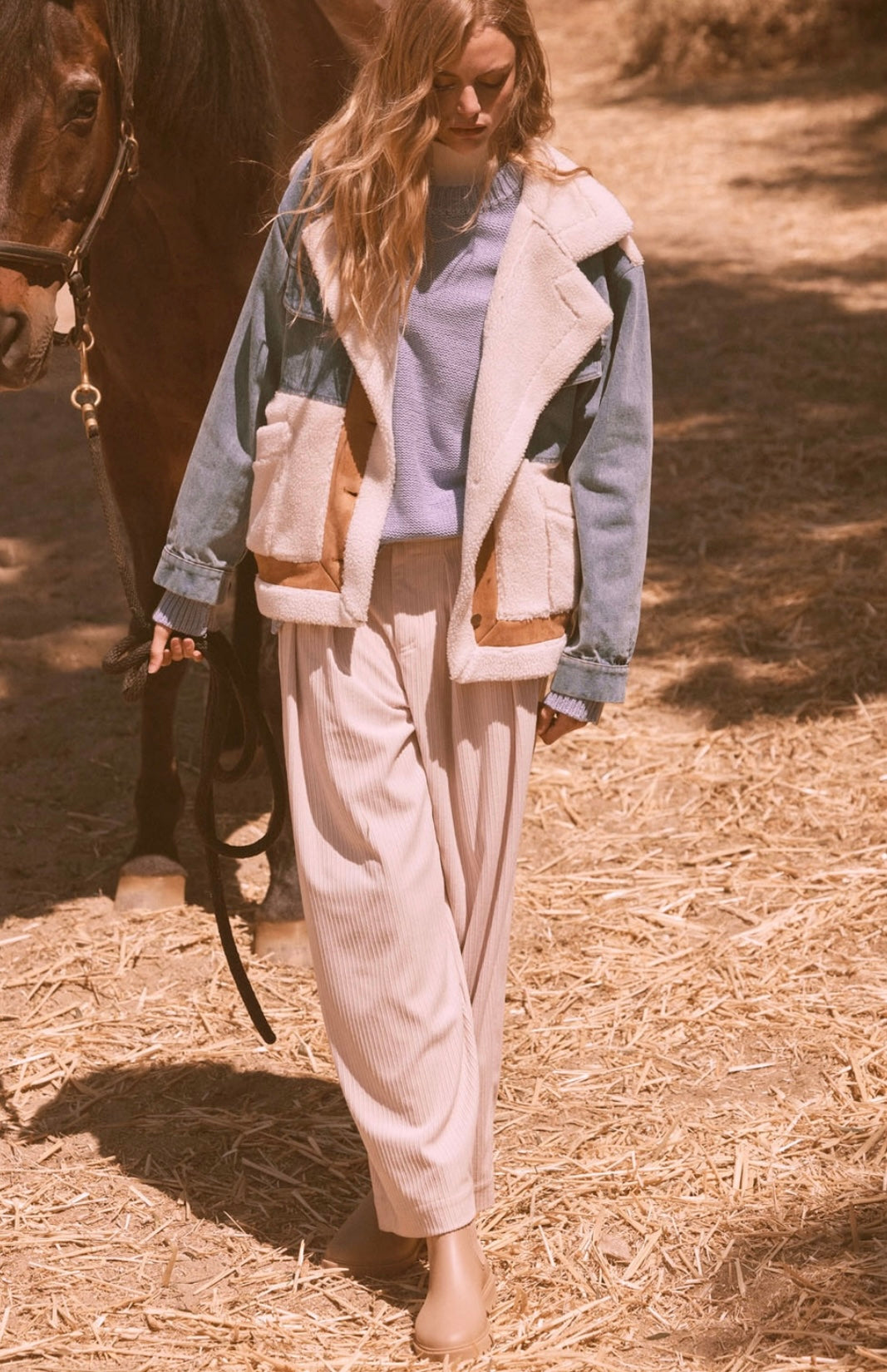 Teddy Jean