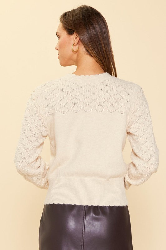 Sleeve Pointelle Sweater