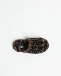 Dillon Slides