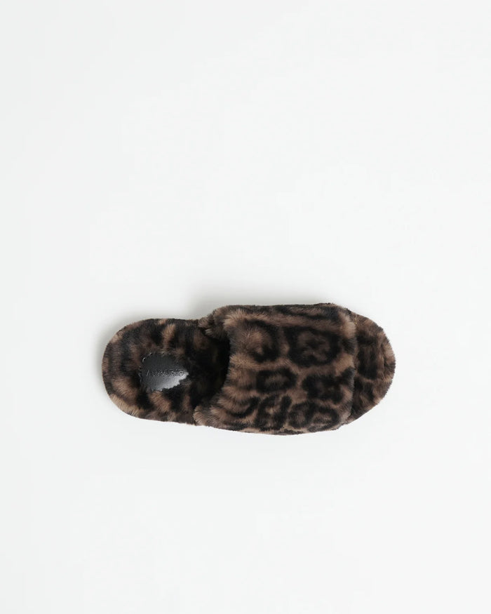 Dillon Slides